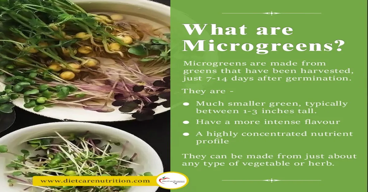 microgreen farmers