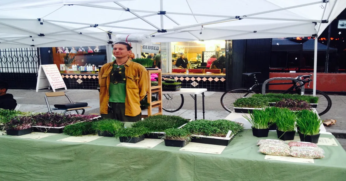 microgreen farmers market