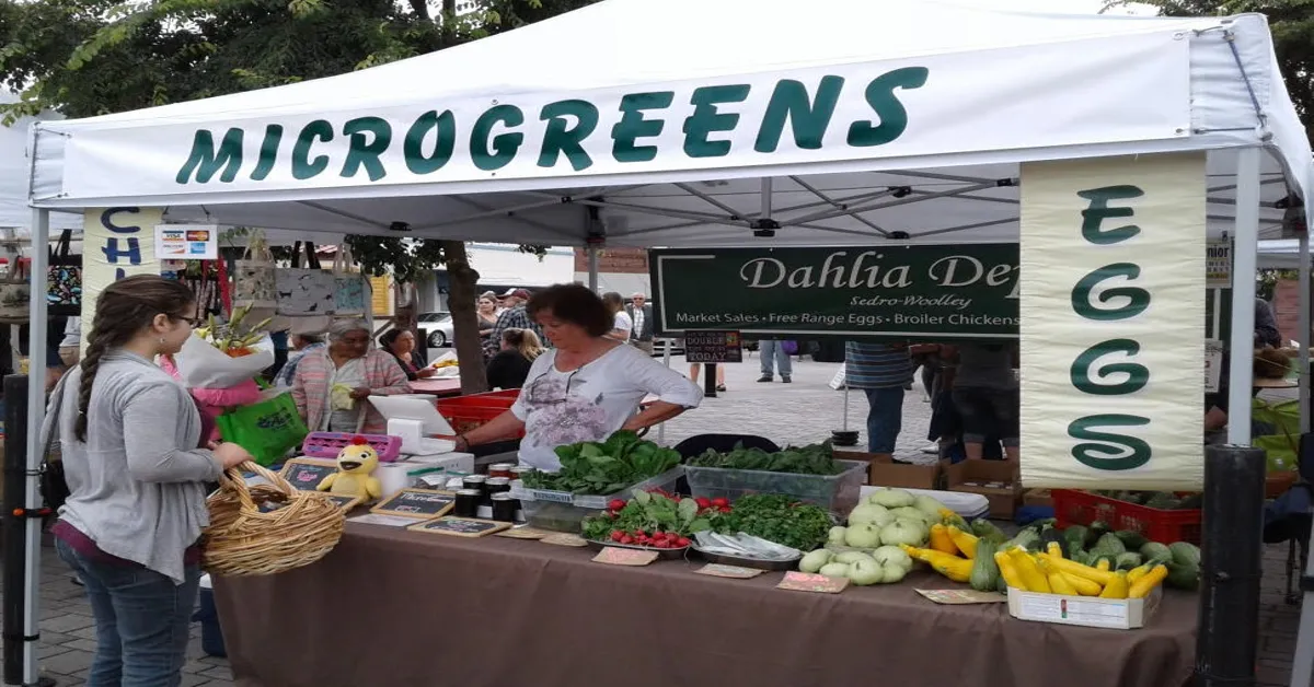 microgreens at farmers market